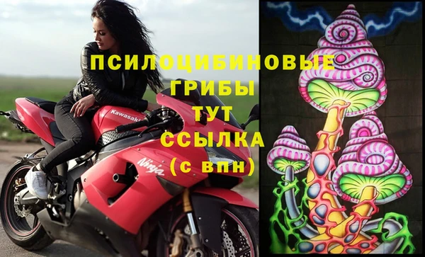 метадон Краснослободск
