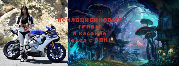 соль ск Кулебаки