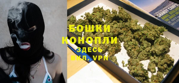 дмт Костерёво